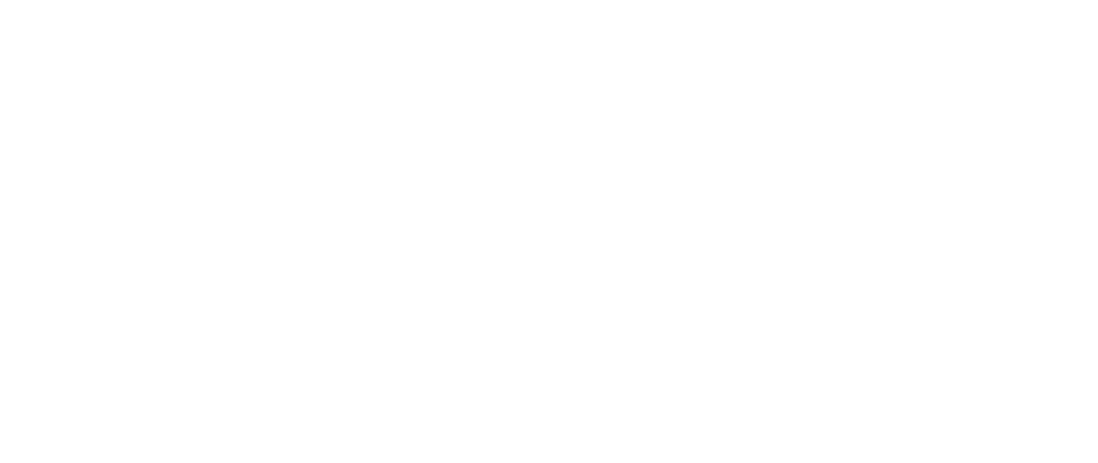 Naxsis International